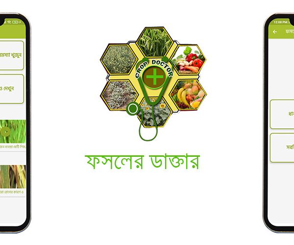 plant doctor online,ফসলের পোকা দমন,plant doctor,doctor strike,krishi doctor