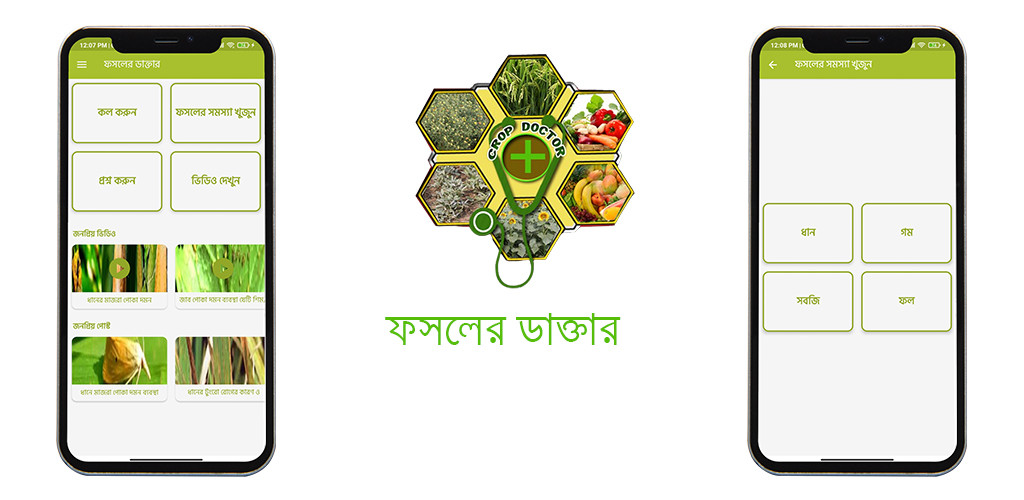 plant doctor online,ফসলের পোকা দমন,plant doctor,doctor strike,krishi doctor plant doctor online,ফসলের পোকা দমন,plant doctor,doctor strike,krishi doctor